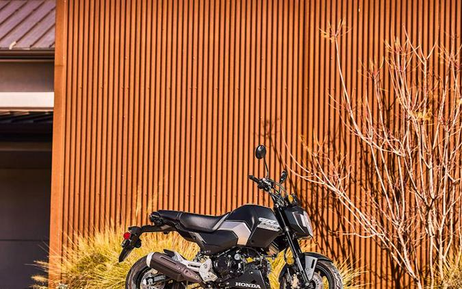 2025 Honda® Grom SP