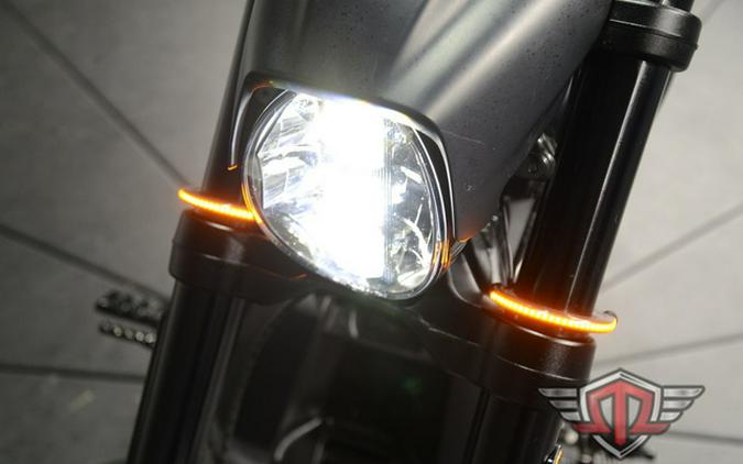 2019 Harley-Davidson FXDRS - FXDR 114