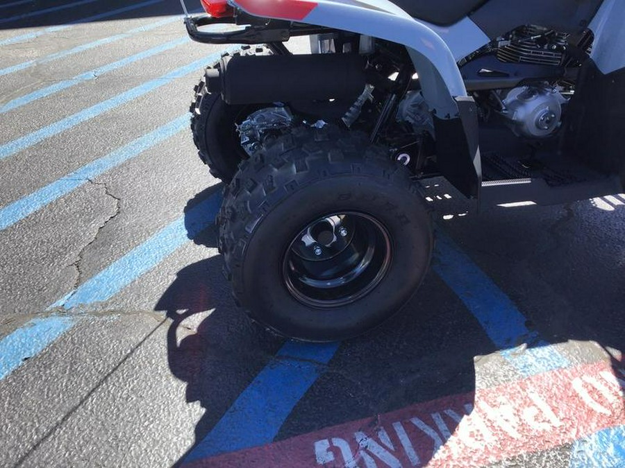 2025 Polaris® Phoenix 200