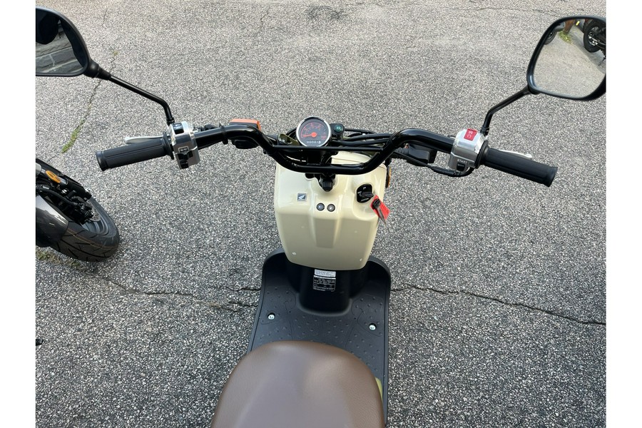 2024 Honda RUCKUS