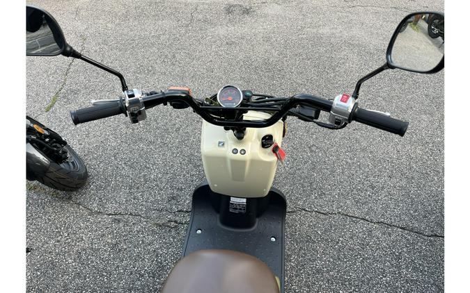 2024 Honda RUCKUS