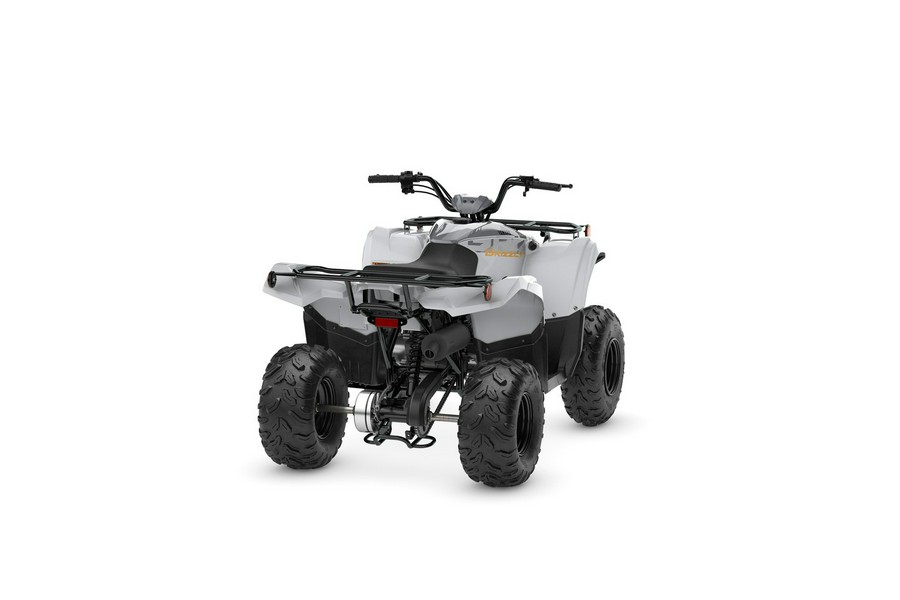 2024 Yamaha Grizzly 90