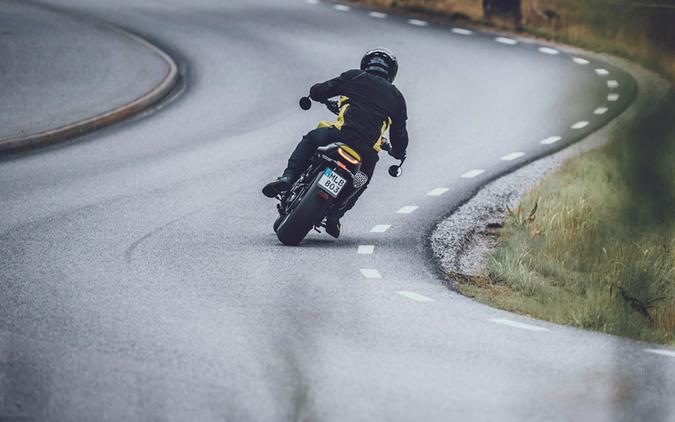 2025 Husqvarna Vitpilen 801 Silver - 779330