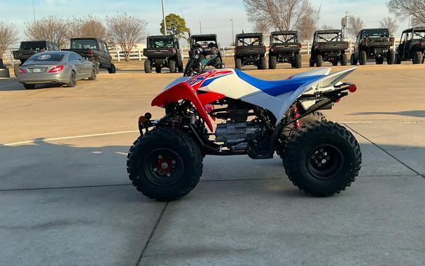 2026 Honda TRX250X