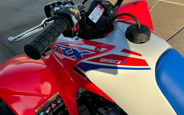 2026 Honda TRX250X