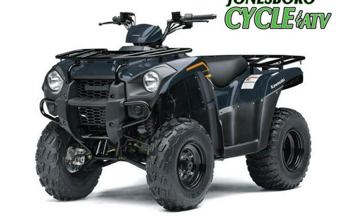 2024 Kawasaki Brute Force 300