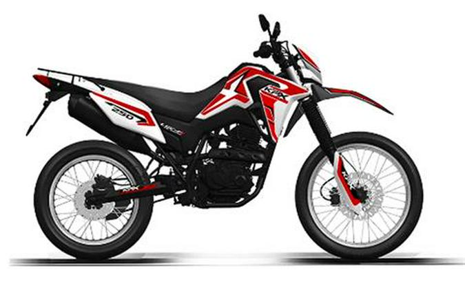 2023 American Lifan Inc. KPX250