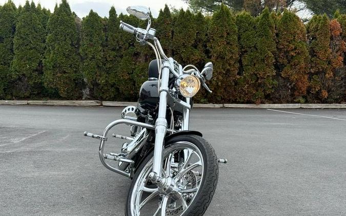 2009 Harley-Davidson® FXDL - Dyna® Low Rider®