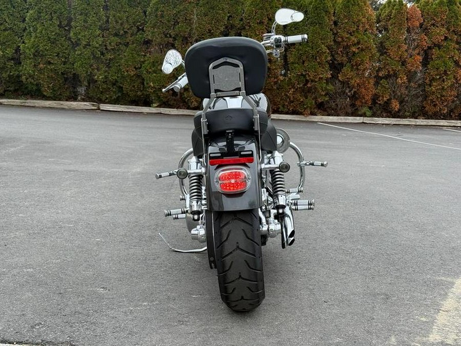 2009 Harley-Davidson® FXDL - Dyna® Low Rider®