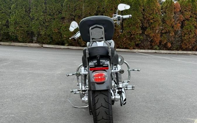 2009 Harley-Davidson® FXDL - Dyna® Low Rider®