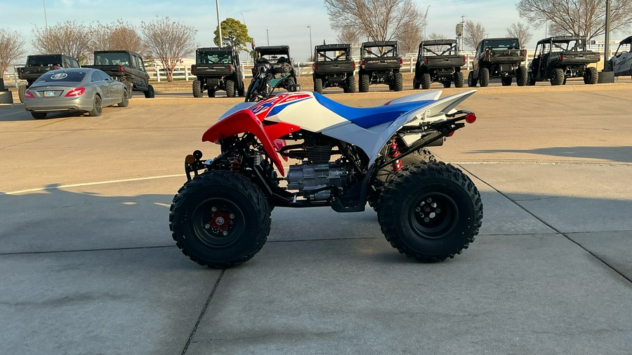 2026 Honda TRX250X