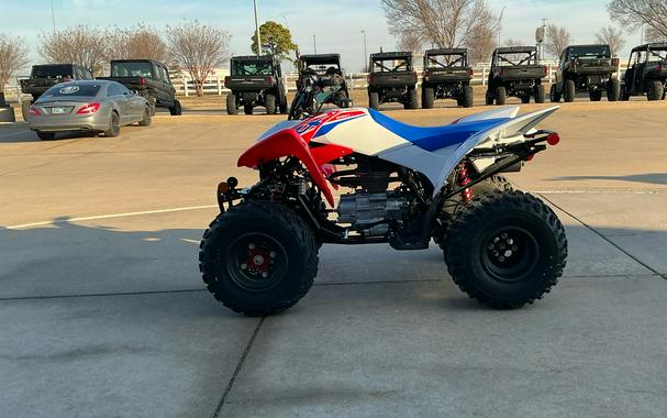 2026 Honda TRX250X