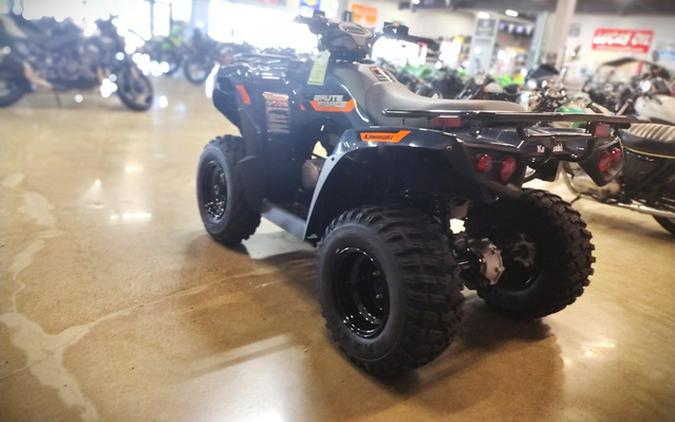 2026 Kawasaki Brute Force 300
