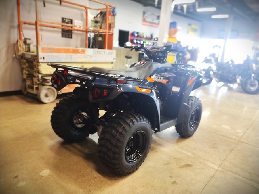 2026 Kawasaki Brute Force 300