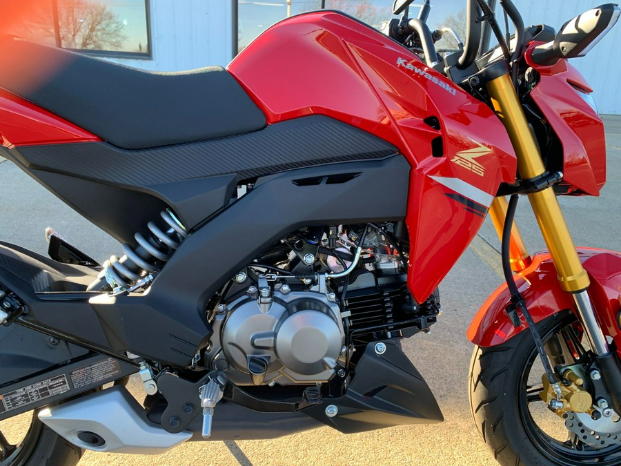 2023 Kawasaki Z125 PRO