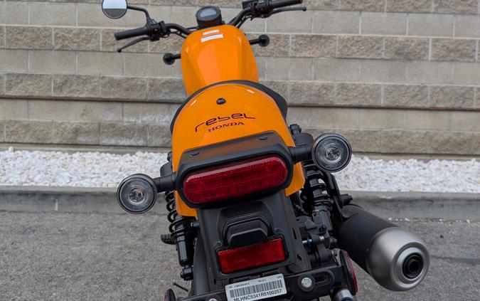 2024 Honda Rebel 300 ABS