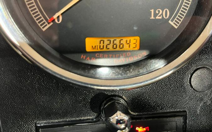 2004 Harley-Davidson FXSTB/FXSTBI Softail® Night Train®