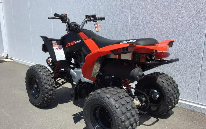 2027 Can-Am® DS 250
