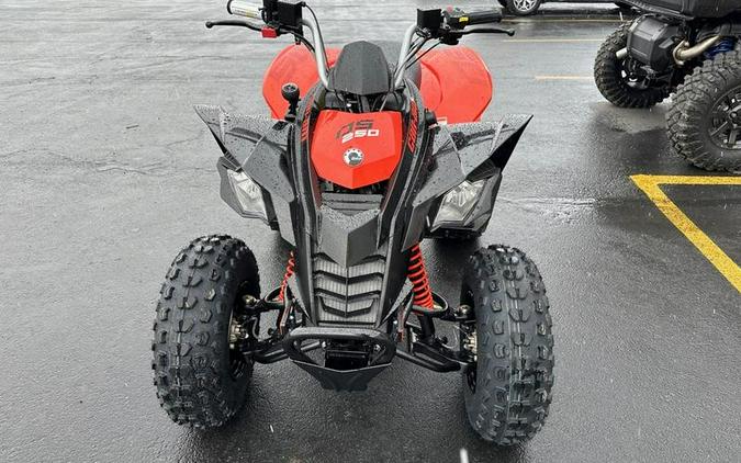 2024 Can-Am® DS 250