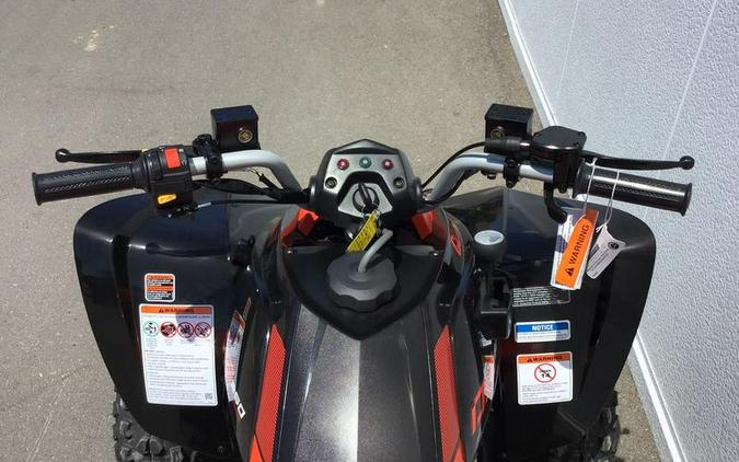 2027 Can-Am® DS 250