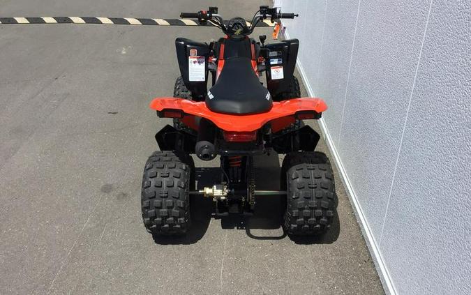 2027 Can-Am® DS 250