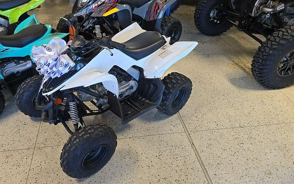 2022 Yamaha Raptor 90