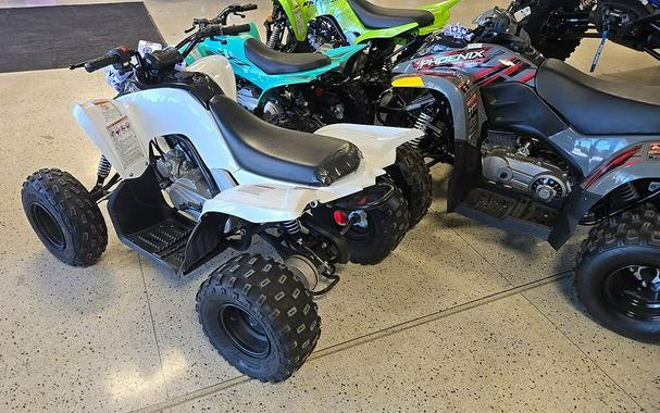 2022 Yamaha Raptor 90