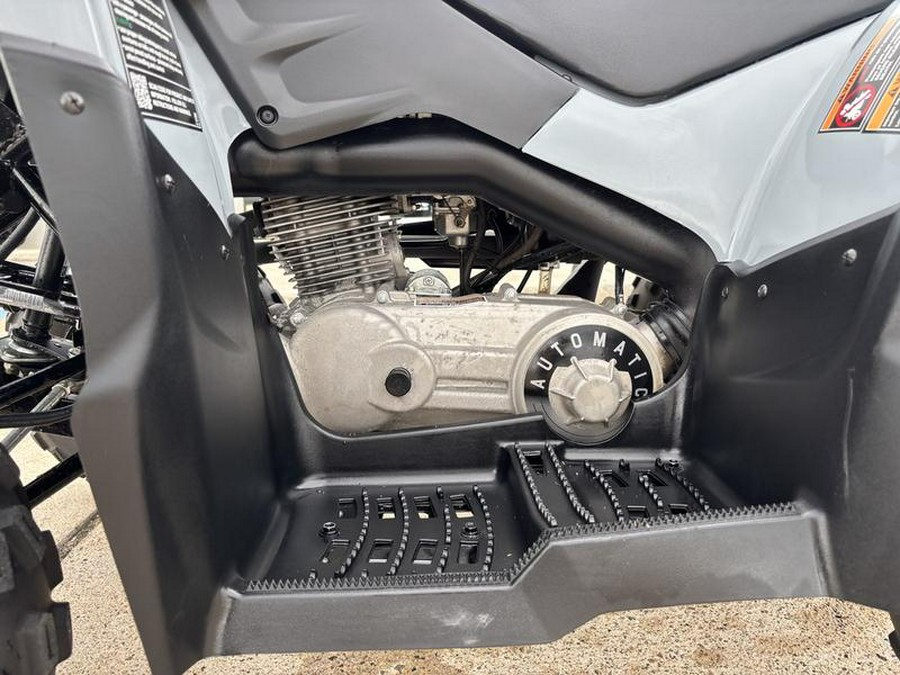 2025 Polaris® Phoenix 200