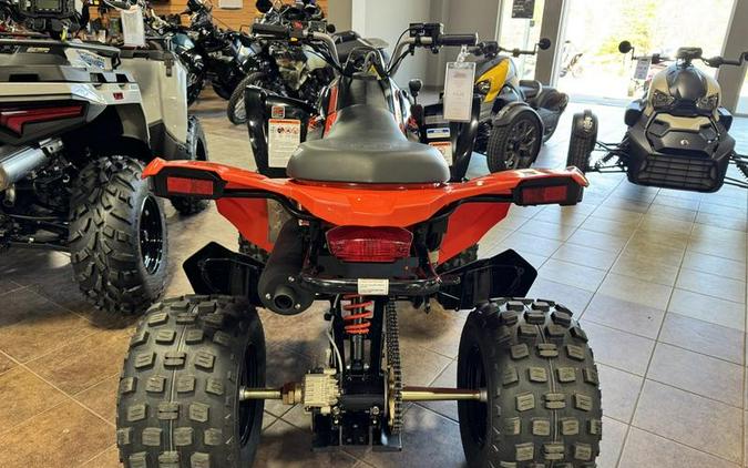 2026 Can-Am® DS 250