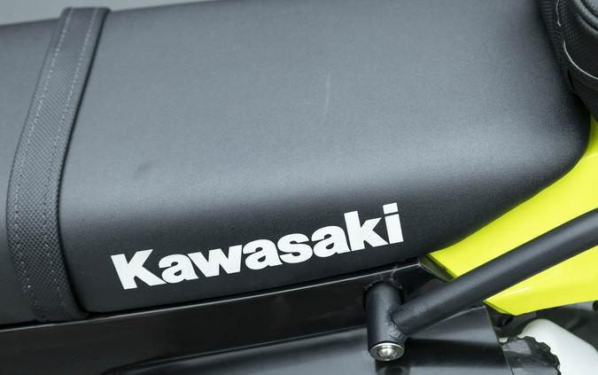 2023 KAWASAKI KLX300 KLX 300 SM W/ABS