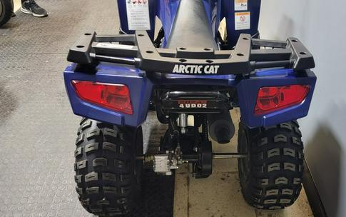 2021 Arctic Cat ALTERRA 90