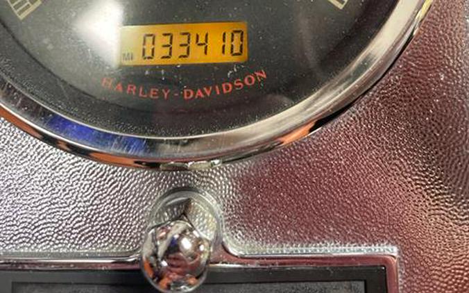 2007 Harley-Davidson FLSTC Heritage Softail® Classic Patriot Special Edition