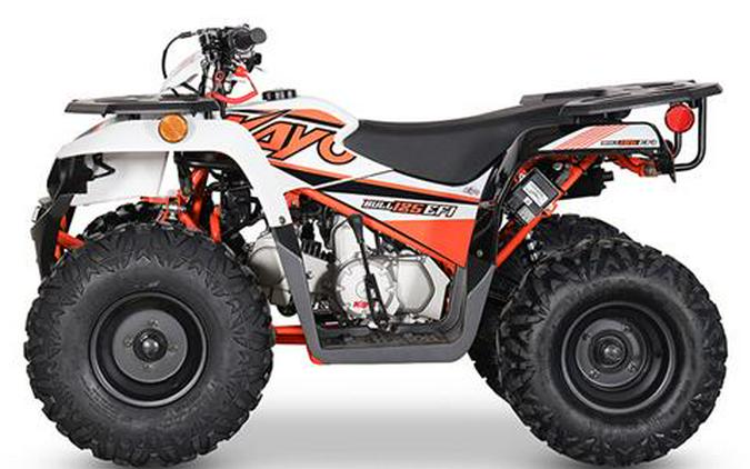 2024 Kayo Bull 125 EFI