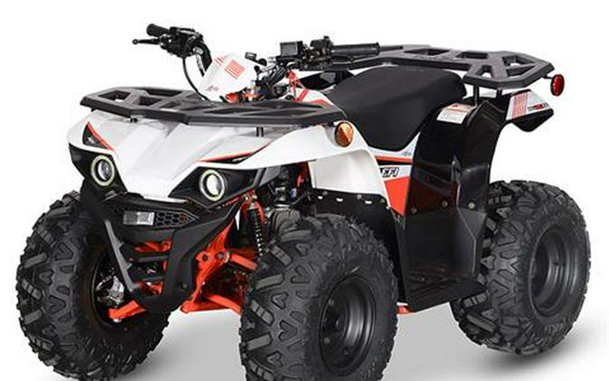 2024 Kayo Bull 125 EFI