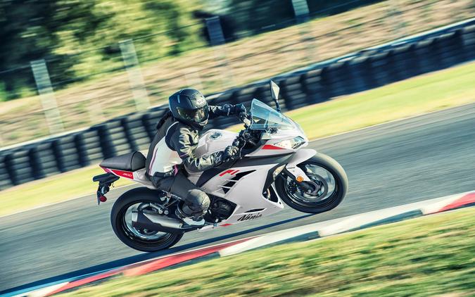 2026 Kawasaki Ninja® 300 ABS