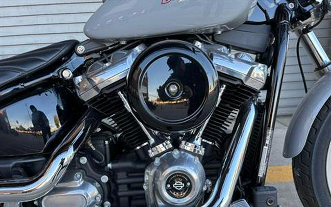 2024 Harley-Davidson Softail® Standard