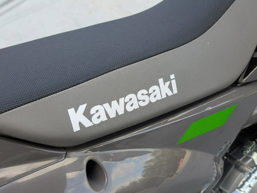 2025 Kawasaki KLX® 110R L