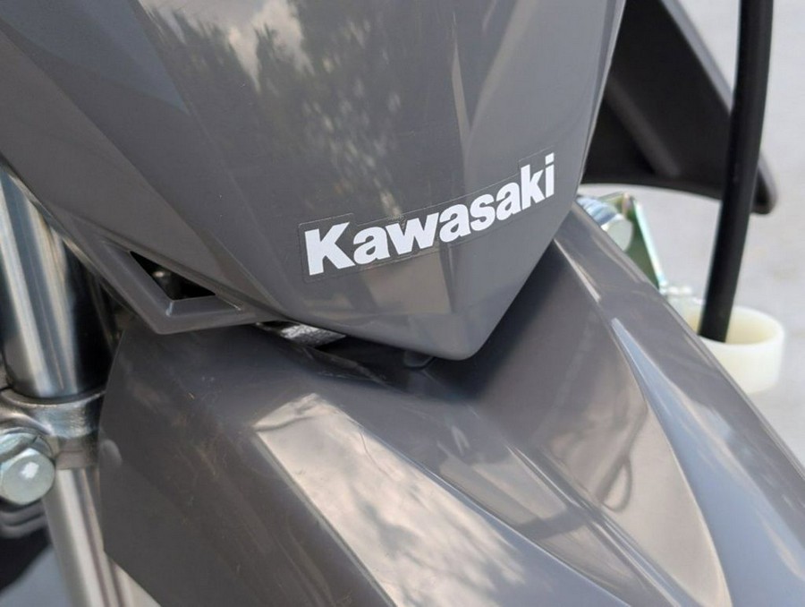 2025 Kawasaki KLX® 110R L