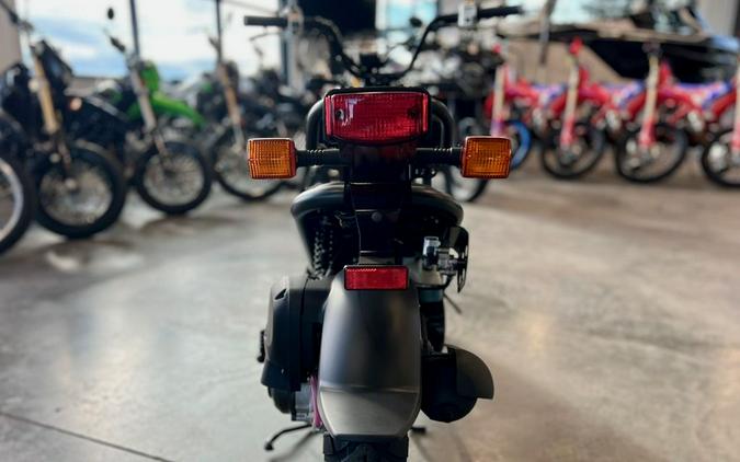 2024 Honda Ruckus Base