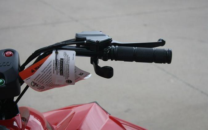 2027 Can-Am Renegade 110 EFI