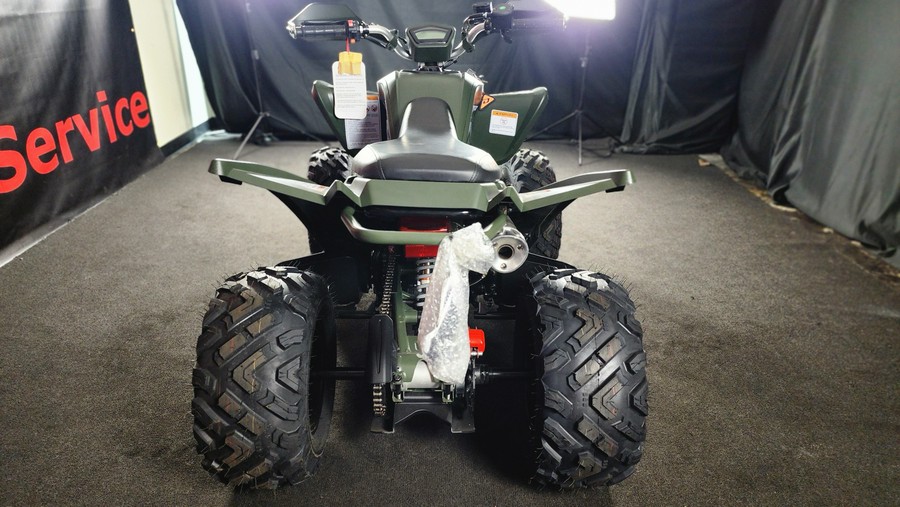 2025 DENAGO Daytona 250FI - F100364