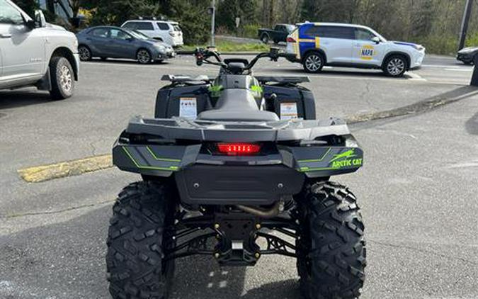 2026 Arctic Cat Alterra 600 Limited