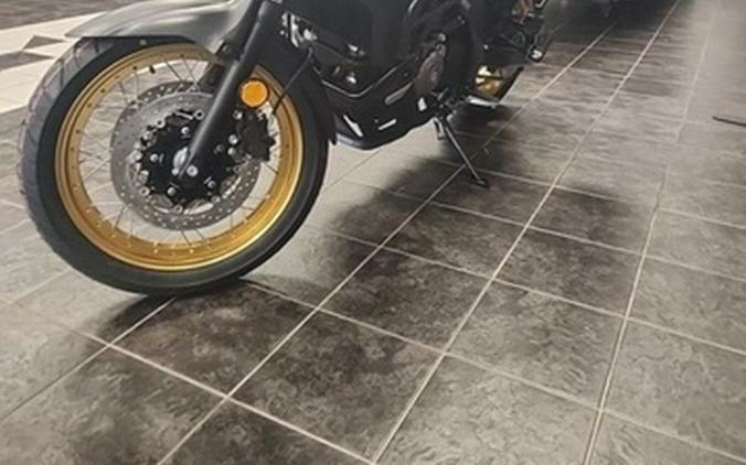 2025 Suzuki V-Strom 650XT Adventure