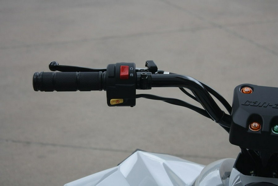 2027 Can-Am Renegade 110 EFI