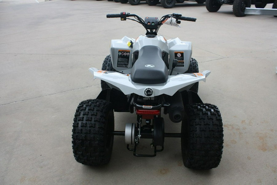 2027 Can-Am Renegade 110 EFI
