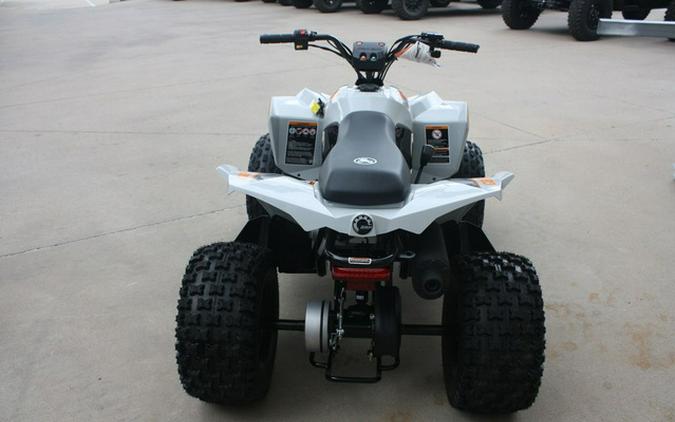 2027 Can-Am Renegade 110 EFI