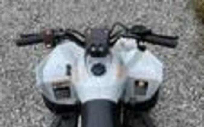 2027 Can-Am Renegade 70 EFI