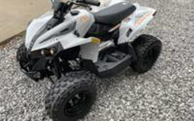 2027 Can-Am Renegade 70 EFI