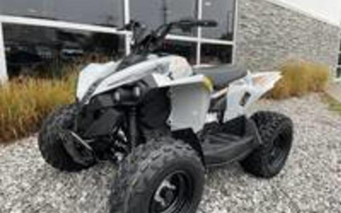 2027 Can-Am Renegade 70 EFI