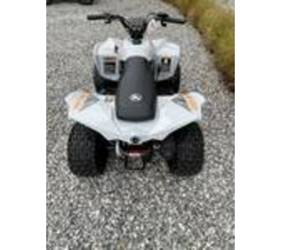 2027 Can-Am Renegade 70 EFI